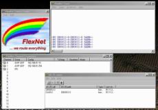 1flexnet.jpg