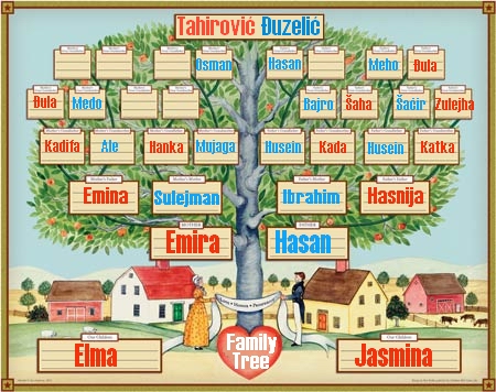 Porodicno Drvo